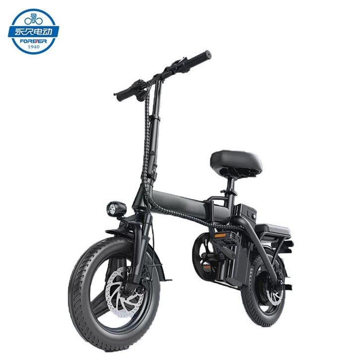 Foldable Electric Bike